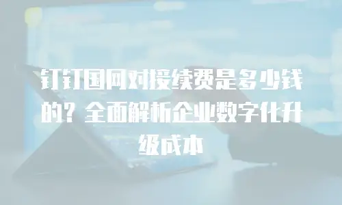 钉钉国网对接续费是多少钱的？全面解析企业数字化升级成本
