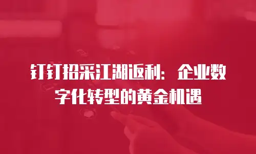 钉钉招采江湖返利：企业数字化转型的黄金机遇