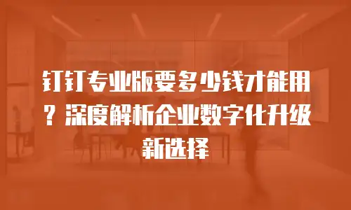 钉钉专业版要多少钱才能用？深度解析企业数字化升级新选择