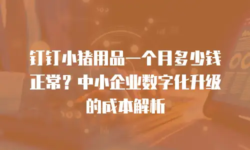 钉钉小猪用品一个月多少钱正常？中小企业数字化升级的成本解析