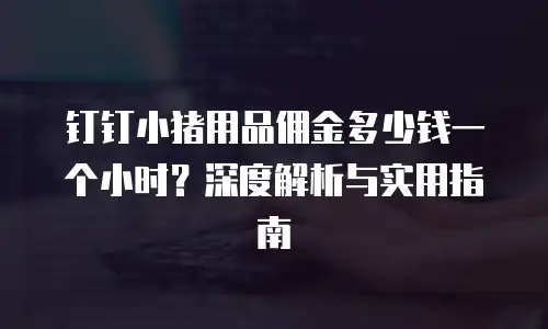 钉钉小猪用品佣金多少钱一个小时？深度解析与实用指南