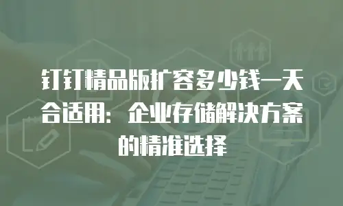 钉钉精品版扩容多少钱一天合适用：企业存储解决方案的精准选择