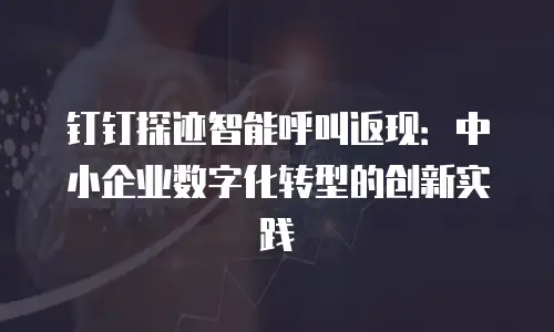 钉钉探迹智能呼叫返现：中小企业数字化转型的创新实践