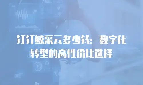 钉钉鲸采云多少钱：数字化转型的高性价比选择