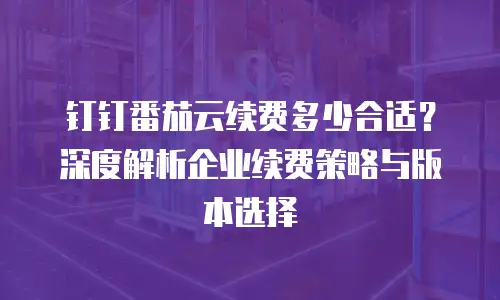 钉钉番茄云续费多少合适？深度解析企业续费策略与版本选择