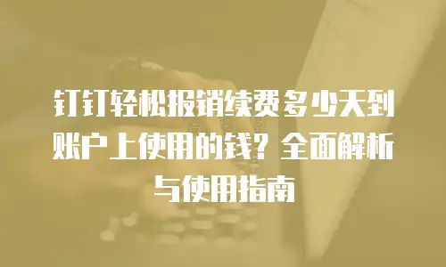 钉钉轻松报销续费多少天到账户上使用的钱？全面解析与使用指南