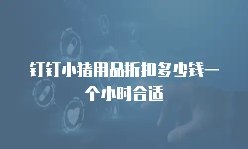 钉钉小猪用品折扣多少钱一个小时合适
