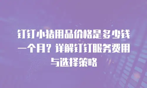 钉钉小猪用品价格是多少钱一个月？详解钉钉服务费用与选择策略