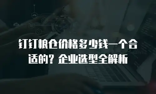 钉钉粮仓价格多少钱一个合适的？企业选型全解析