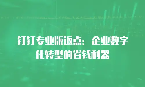 钉钉专业版返点：企业数字化转型的省钱利器