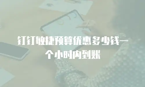 钉钉敏捷预算优惠多少钱一个小时内到账
