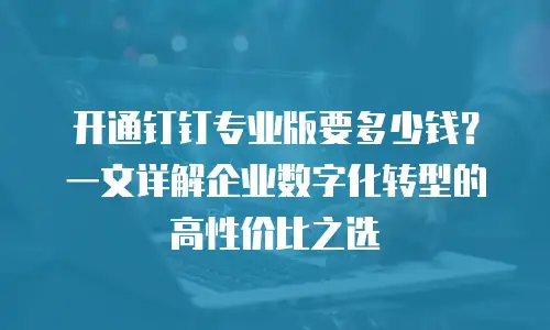 开通钉钉专业版要多少钱？一文详解企业数字化转型的高性价比之选
