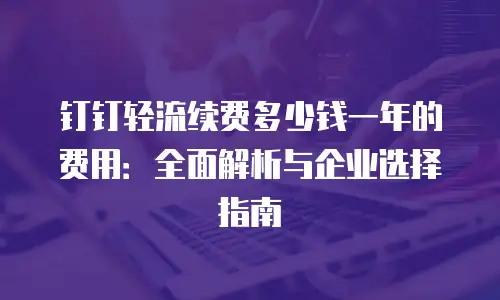 钉钉轻流续费多少钱一年的费用：全面解析与企业选择指南