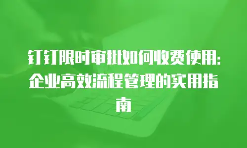 钉钉限时审批如何收费使用：企业高效流程管理的实用指南