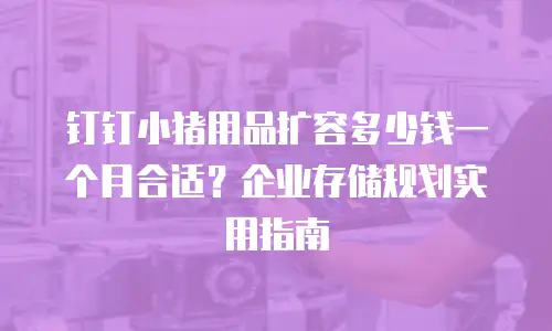 钉钉小猪用品扩容多少钱一个月合适？企业存储规划实用指南