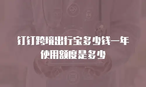 钉钉跨境出行宝多少钱一年使用额度是多少