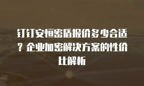 钉钉安恒密盾报价多少合适？企业加密解决方案的性价比解析