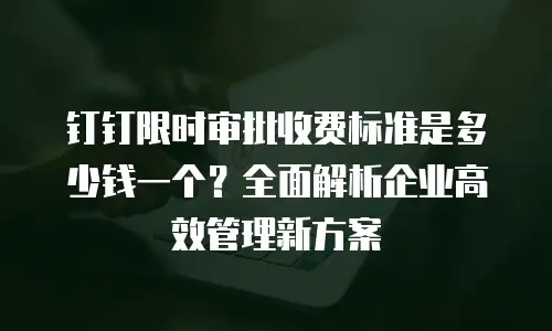 钉钉限时审批收费标准是多少钱一个？全面解析企业高效管理新方案
