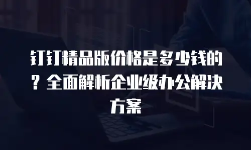 钉钉精品版价格是多少钱的？全面解析企业级办公解决方案