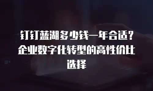 钉钉蓝湖多少钱一年合适？企业数字化转型的高性价比选择