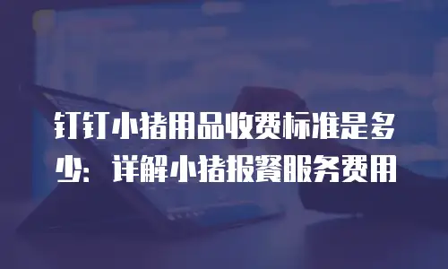 钉钉小猪用品收费标准是多少：详解小猪报餐服务费用