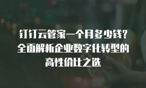 钉钉云管家一个月多少钱？全面解析企业数字化转型的高性价比之选