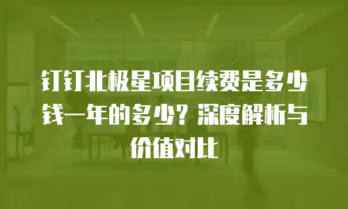 钉钉北极星项目续费是多少钱一年的多少？深度解析与价值对比
