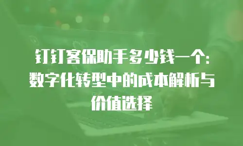 钉钉客保助手多少钱一个：数字化转型中的成本解析与价值选择
