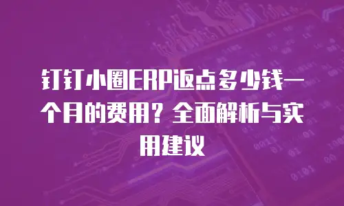 钉钉小圈ERP返点多少钱一个月的费用？全面解析与实用建议