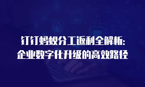 钉钉蚂蚁分工返利全解析：企业数字化升级的高效路径