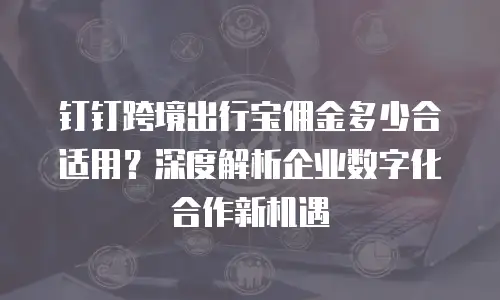 钉钉跨境出行宝佣金多少合适用？深度解析企业数字化合作新机遇