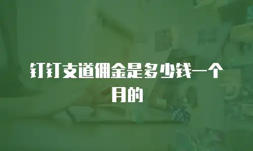 钉钉支道佣金是多少钱一个月的
