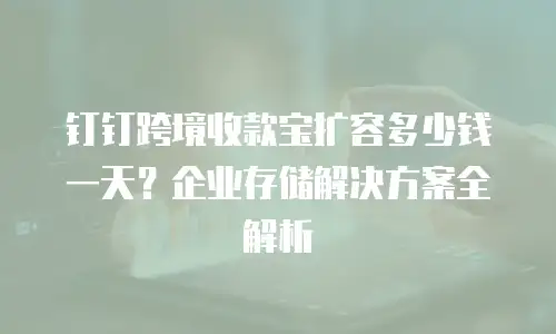 钉钉跨境收款宝扩容多少钱一天？企业存储解决方案全解析