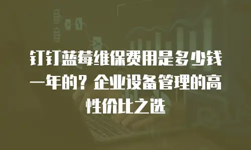 钉钉蓝莓维保费用是多少钱一年的？企业设备管理的高性价比之选