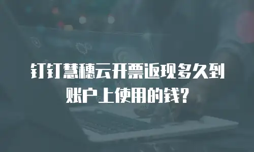钉钉慧穗云开票返现多久到账户上使用的钱？