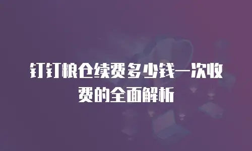 钉钉粮仓续费多少钱一次收费的全面解析
