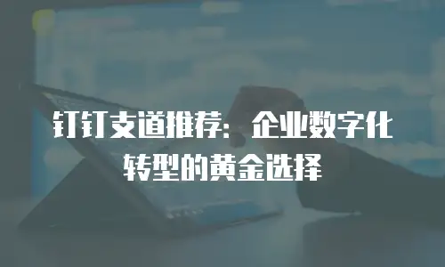钉钉支道推荐：企业数字化转型的黄金选择