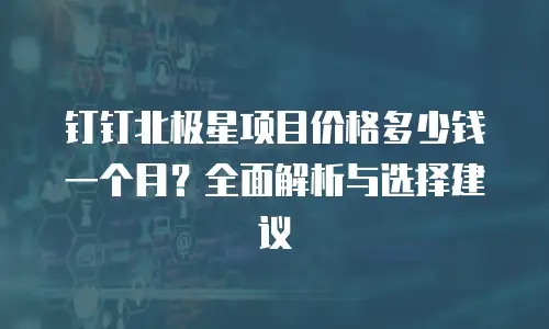 钉钉北极星项目价格多少钱一个月？全面解析与选择建议