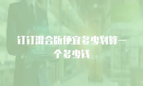 钉钉混合版便宜多少划算一个多少钱