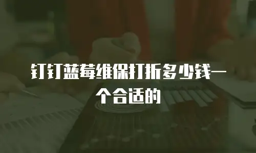 钉钉蓝莓维保打折多少钱一个合适的