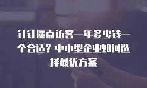 钉钉魔点访客一年多少钱一个合适？中小型企业如何选择最优方案