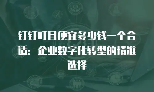 钉钉盯目便宜多少钱一个合适：企业数字化转型的精准选择