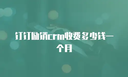 钉钉励销crm收费多少钱一个月