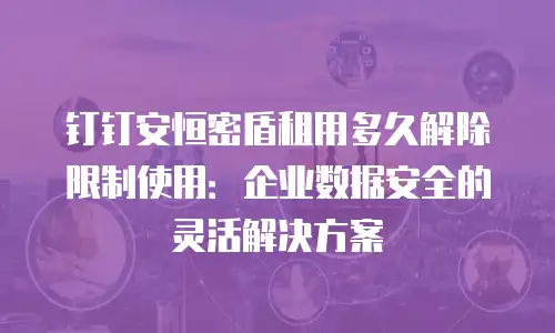 钉钉安恒密盾租用多久解除限制使用：企业数据安全的灵活解决方案