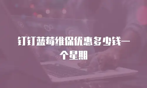钉钉蓝莓维保优惠多少钱一个星期