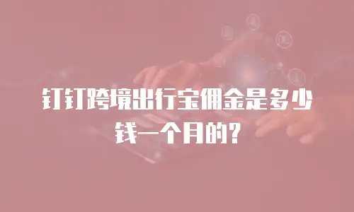 钉钉跨境出行宝佣金是多少钱一个月的？