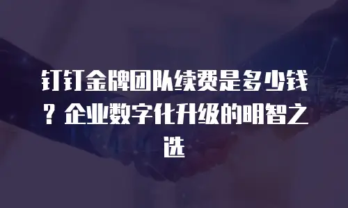 钉钉金牌团队续费是多少钱？企业数字化升级的明智之选