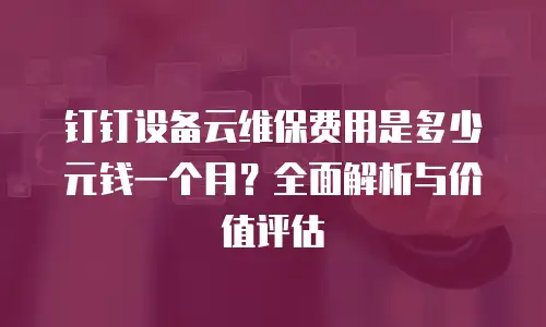 钉钉设备云维保费用是多少元钱一个月？全面解析与价值评估