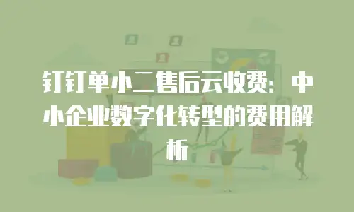钉钉单小二售后云收费：中小企业数字化转型的费用解析