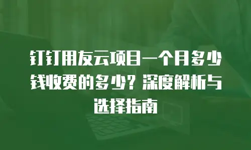 钉钉用友云项目一个月多少钱收费的多少？深度解析与选择指南